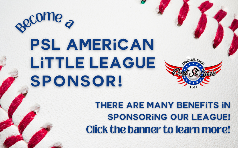 Support Youth Baseball by becoming a sponsor!